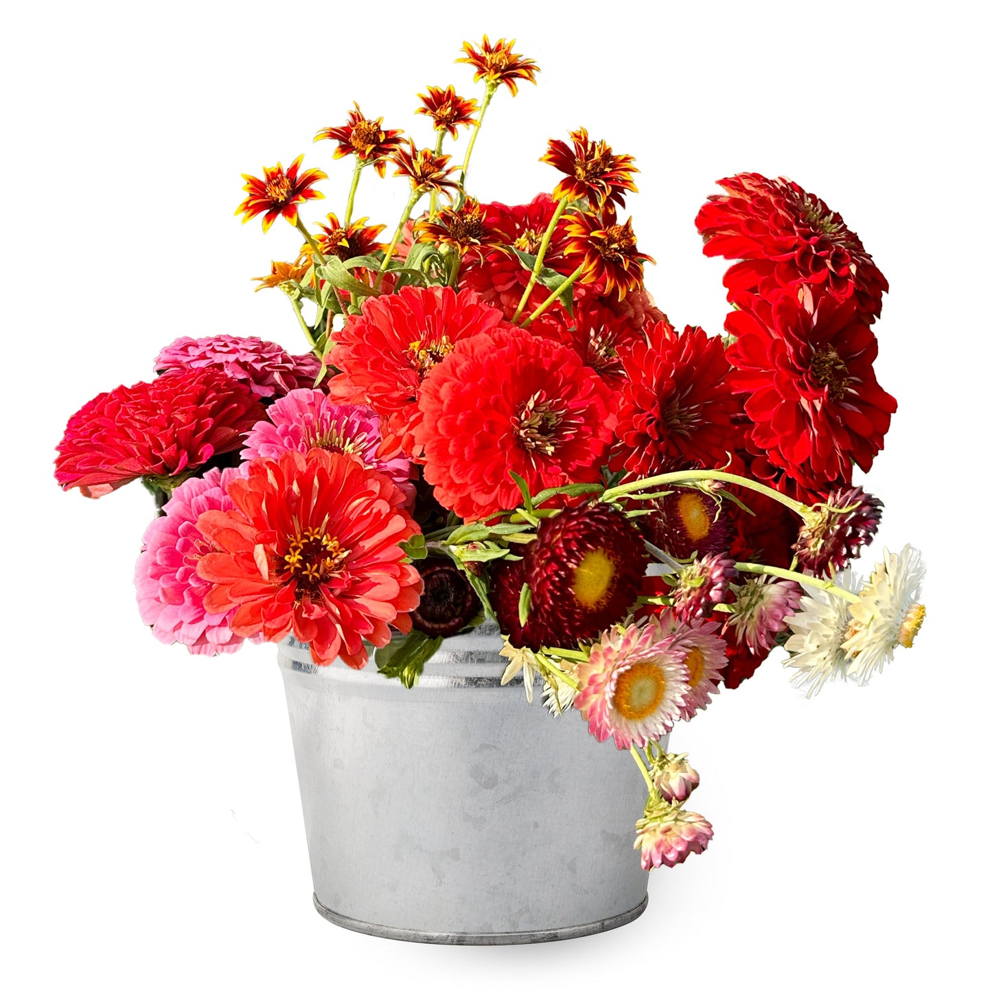 All Colors Bucket
