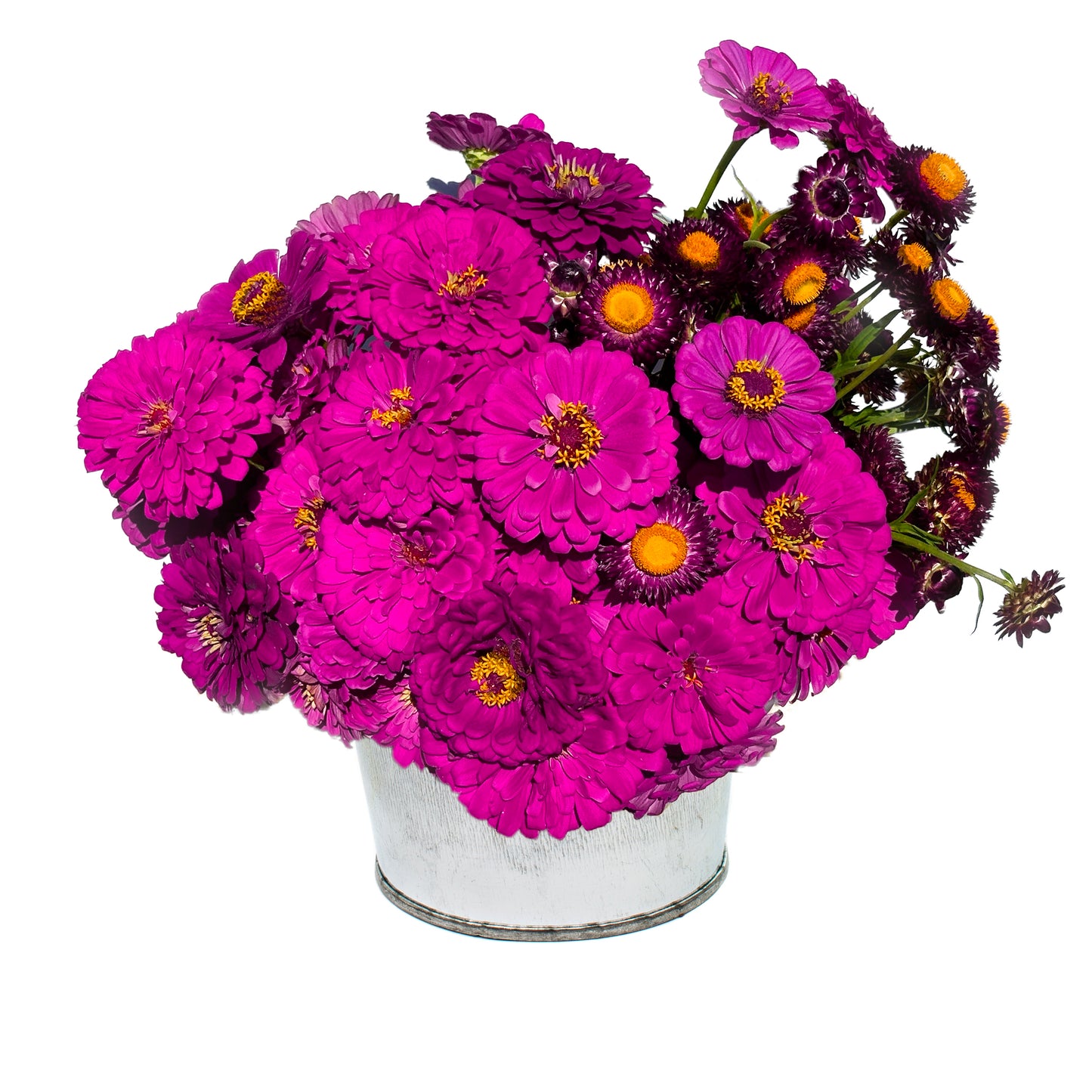Purple bucket