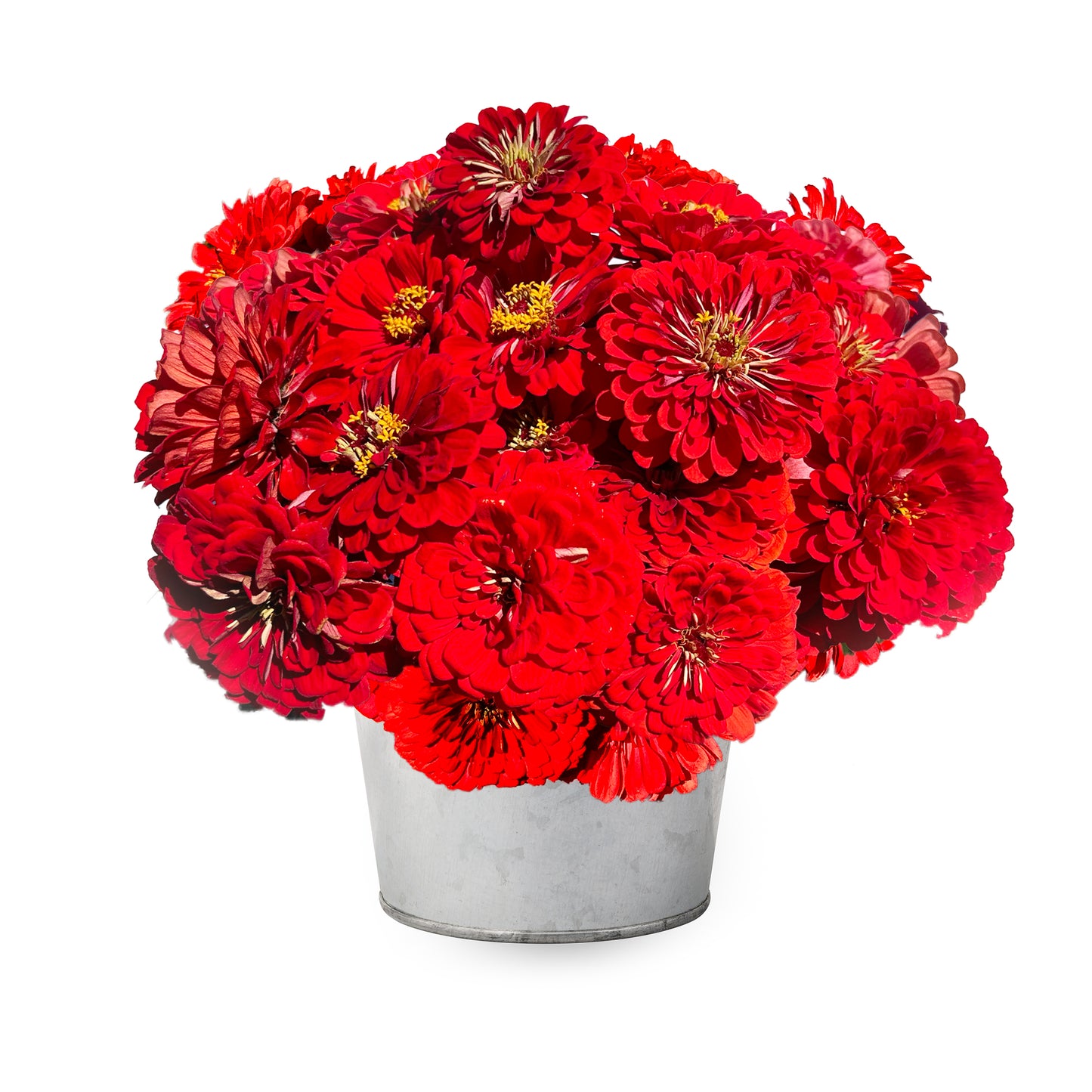 Red Bucket