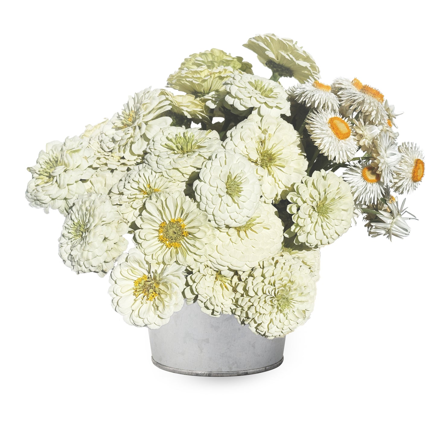 White bucket