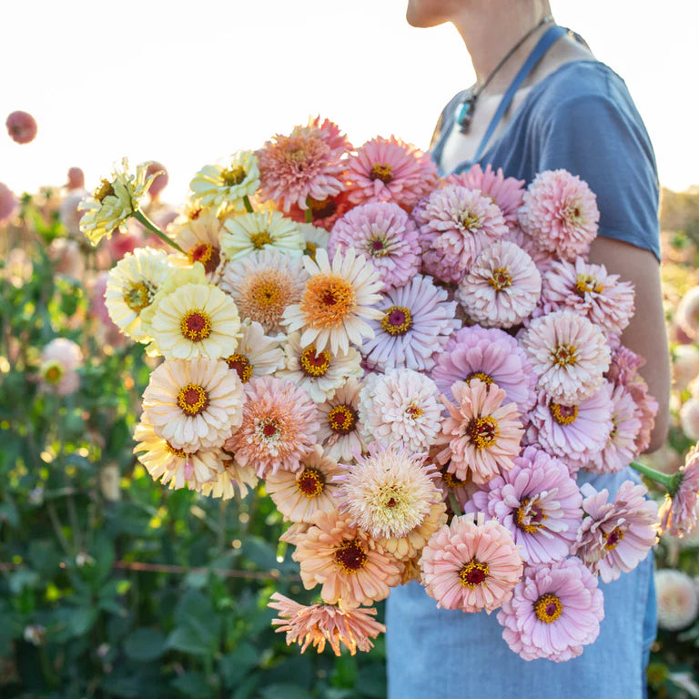 Pastel Bucket