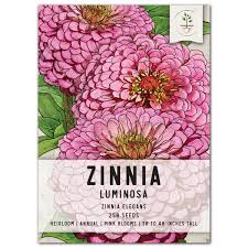 Seed Packet